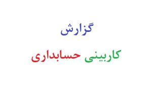 گزارش کاربینی حسابداری