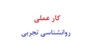 کار عملی روانشناسی تجربی