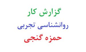 گزارش کار روانشناسی تجربی حمزه گنجی