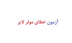 آزمون خطای مولر لایر