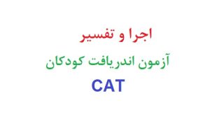 اجرا و تفسیر آزمون اندريافت كودكان CAT