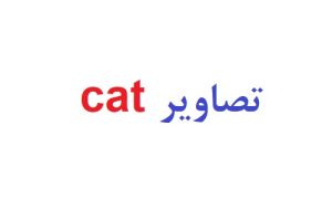 cat تصاویر