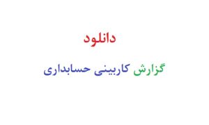 دانلود رایگان گزارش کاربینی حسابداری