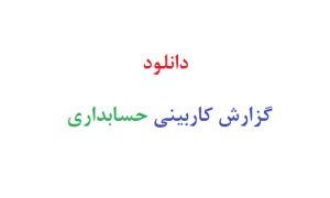 دانلود گزارش کاربینی حسابداری