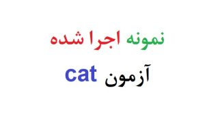 نمونه اجرا شده آزمون cat