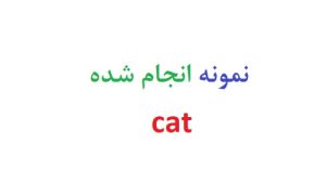 نمونه انجام شده cat