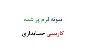 نمونه فرم پر شده کاربینی حسابداری