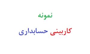 نمونه کاربینی حسابداری