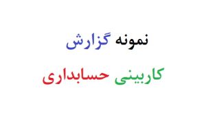 نمونه گزارش کاربینی حسابداری