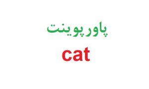 پاورپوینت cat