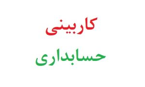 کاربینی حسابداری