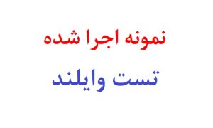 نمونه اجرا شده تست وایلند