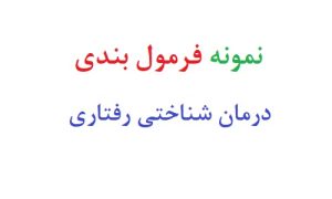 نمونه فرمول بندی درمان شناختی رفتاری